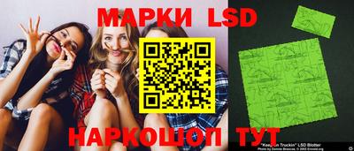 мдпв Кингисепп