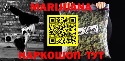 мдпв Кингисепп