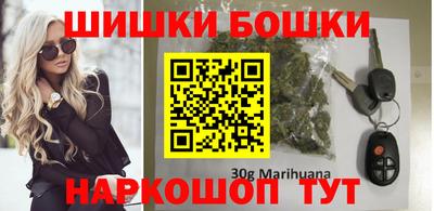 мдпв Кингисепп