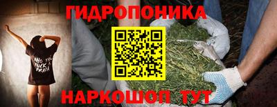 стаф Кинель