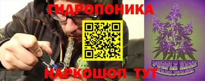 мдпв Кингисепп